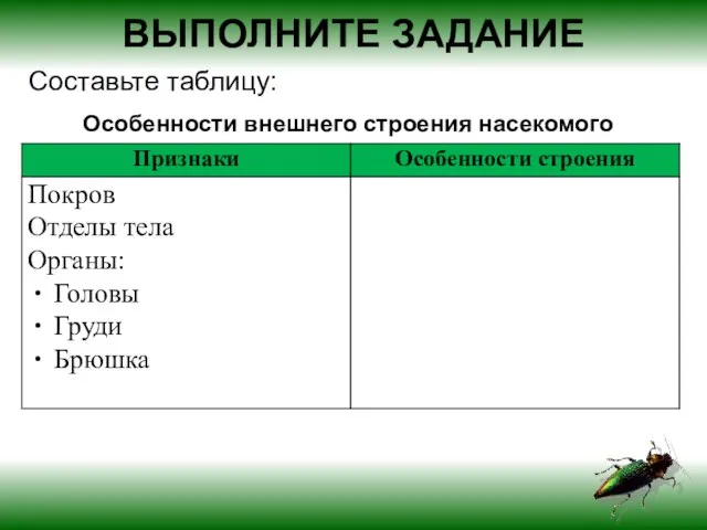 Особенности внешнего строения насекомого ВЫПОЛНИТЕ ЗАДАНИЕ Составьте таблицу: