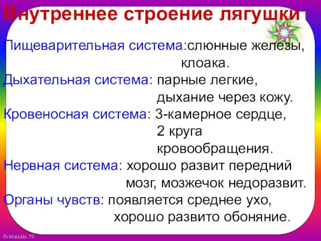 Внутреннее строение лягушки Пищеварительная система:слюнные железы, клоака. Дыхательная система: парные легкие, дыхание