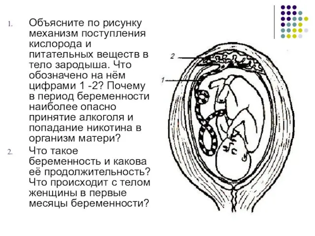 Объясните по рисунку механизм поступления кислорода и питательных веществ в тело зародыша.