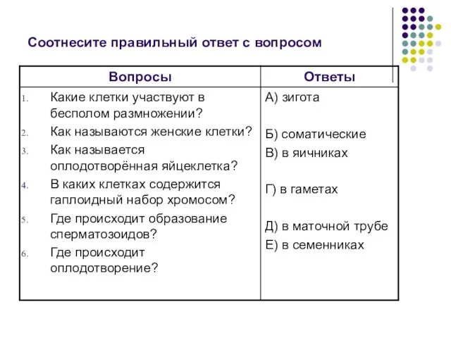 Соотнесите правильный ответ с вопросом