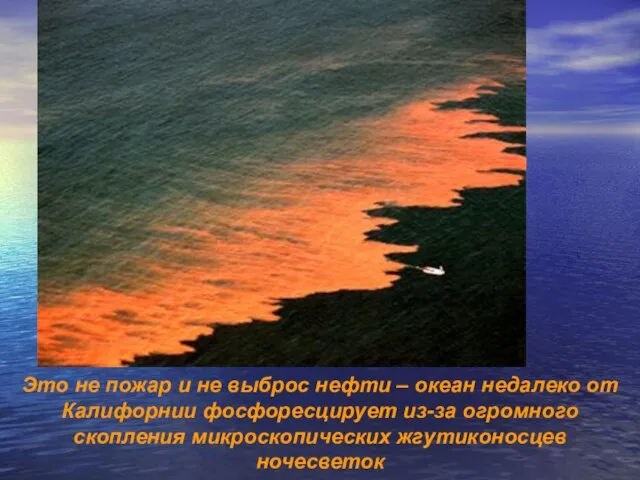 Это не пожар и не выброс нефти – океан недалеко от Калифорнии