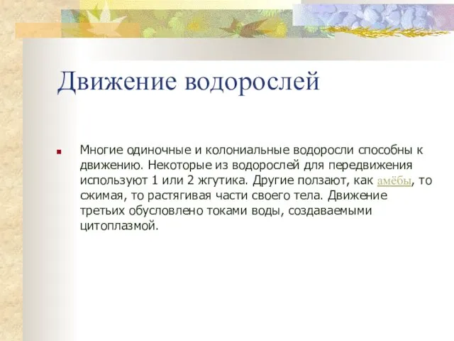 Движение водорослей Многие одиночные и колониальные водоросли способны к движению. Некоторые из