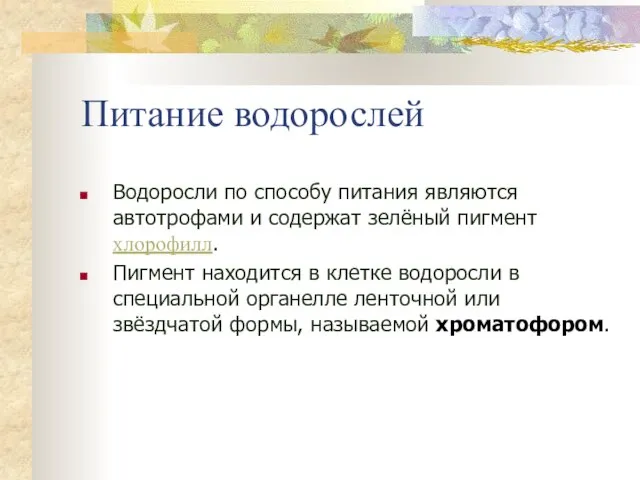 Питание водорослей Водоросли по способу питания являются автотрофами и содержат зелёный пигмент