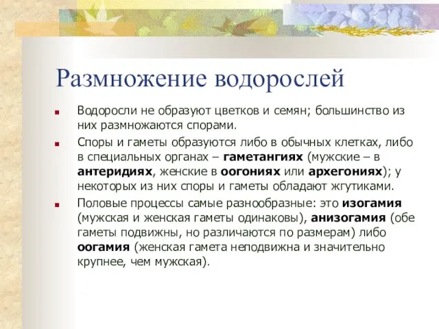 Размножение водорослей Водоросли не образуют цветков и семян; большинство из них размножаются