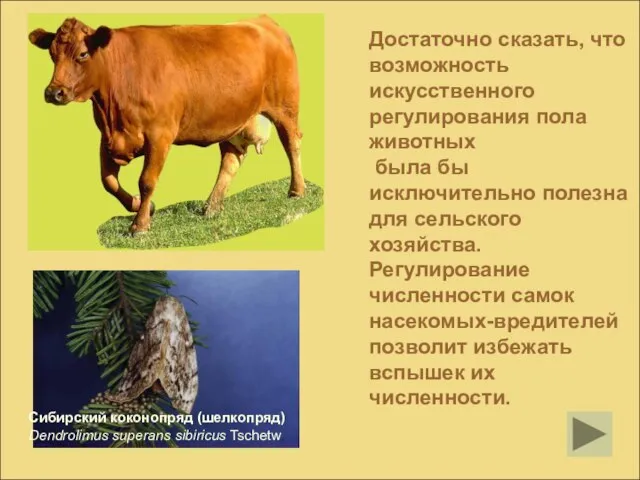 Достаточно сказать, что возможность искусственного регулирования пола животных была бы исключительно полезна