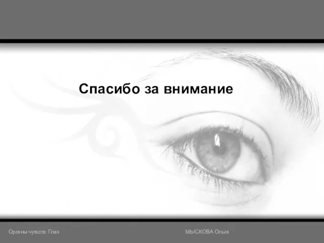 Спасибо за внимание Органы чувств: Глаз МЫСКОВА Ольга