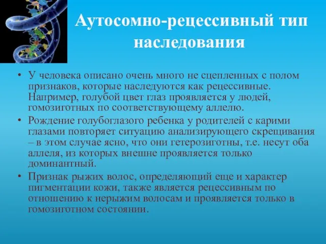 Аутосомно-рецессивный тип наследования У человека описано очень много не сцепленных с полом