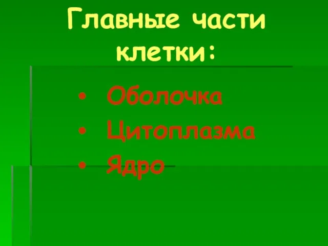 Главные части клетки: Оболочка Цитоплазма Ядро