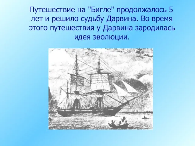 Путешествие на "Бигле" продолжалось 5 лет и решило судьбу Дарвина. Во время