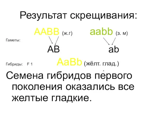 Результат скрещивания: AABB (ж.г) aabb (з. м) Гаметы: AB ab Гибриды: F