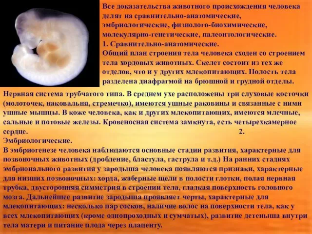 Все доказательства животного происхождения человека делят на сравнительно-анатомические, эмбриологические, физиолого-биохимические, молекулярно-генетические, палеонтологические.