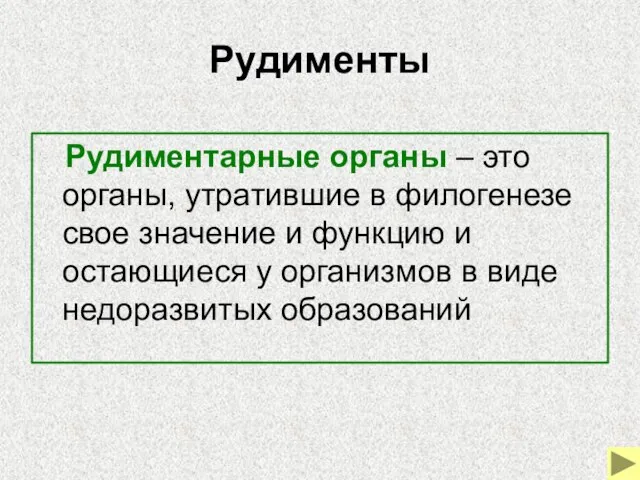 Рудименты Рудиментарные органы – это органы, утратившие в филогенезе свое значение и