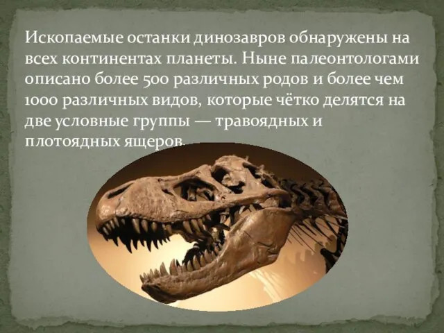 Ископаемые останки динозавров обнаружены на всех континентах планеты. Ныне палеонтологами описано более