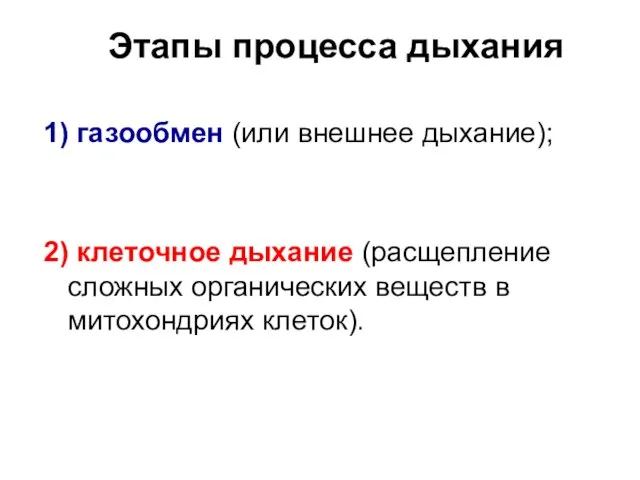 Этапы процесса дыхания 1) газообмен (или внешнее дыхание); 2) клеточное дыхание (расщепление