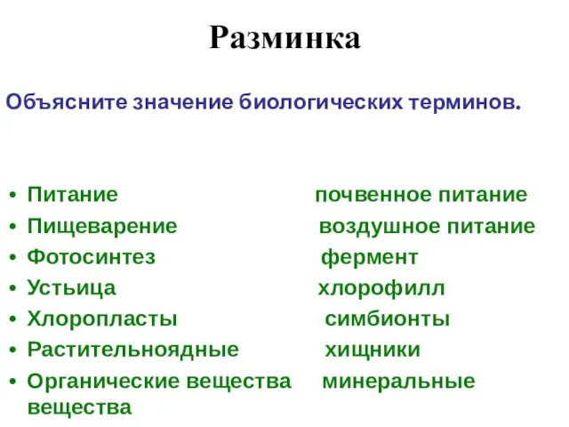 Разминка Объясните значение биологических терминов. Питание почвенное питание Пищеварение воздушное питание Фотосинтез