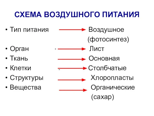 СХЕМА ВОЗДУШНОГО ПИТАНИЯ Тип питания Воздушное (фотосинтез) Орган Лист Ткань Основная Клетки