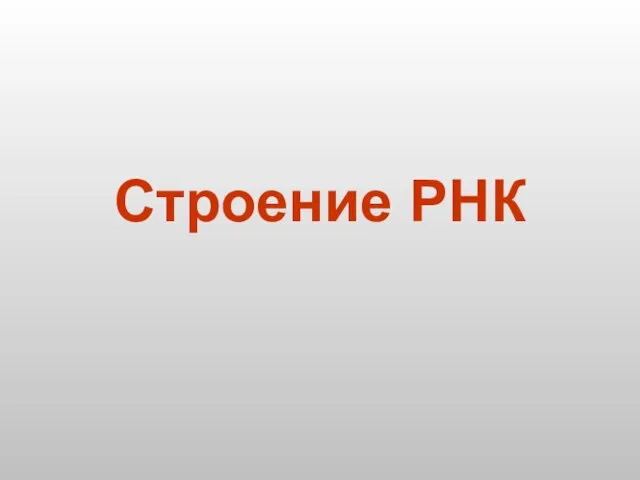 Строение РНК