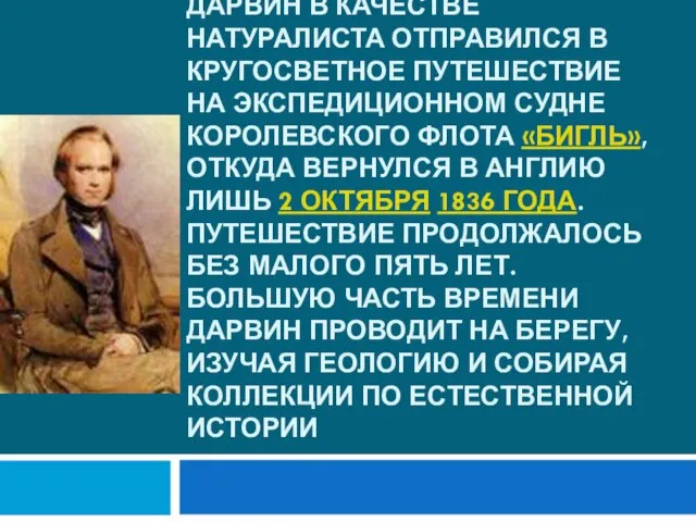 В 1831 году по окончании кембриджского университета Дарвин в качестве натуралиста отправился