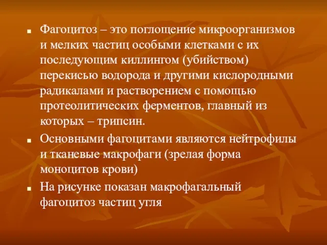 Фагоцитоз – это поглощение микроорганизмов и мелких частиц особыми клетками с их