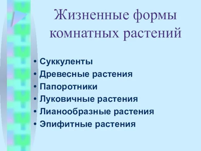 Жизненные формы комнатных растений Суккуленты Древесные растения Папоротники Луковичные растения Лианообразные растения Эпифитные растения