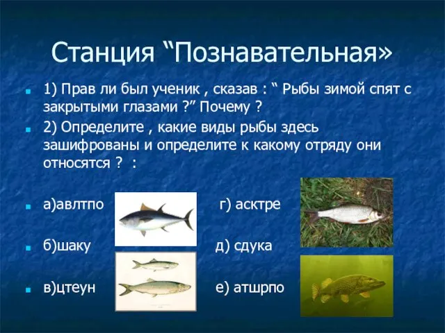 Станция “Познавательная» 1) Прав ли был ученик , сказав : “ Рыбы