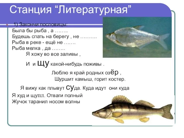 Станция “Литературная” 1) Закончи пословицы: Была бы рыба , а …….. Будешь