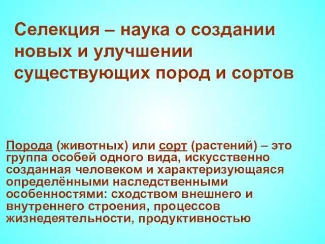 Селекция – наука о создании новых и улучшении существующих пород и сортов