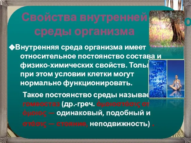 кислород вода Питательные вещества углекислый газ продукты обмена Межклеточное вещество Связь компонентов