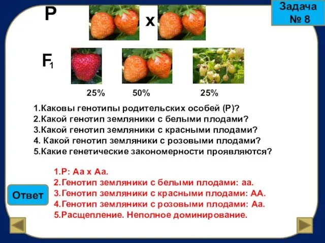 х Р 1 F 1.Каковы генотипы родительских особей (Р)? 2.Какой генотип земляники