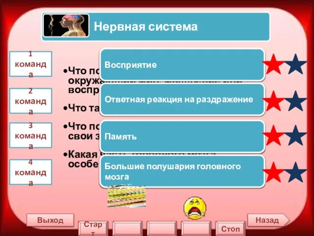 Назад Выход 1 команда 2 команда 3 команда 4 команда Восприятие Ответная