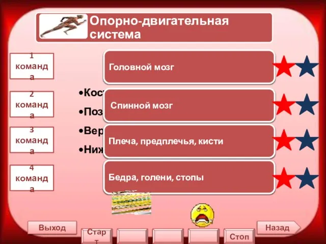 Назад Выход 1 команда 2 команда 3 команда 4 команда Головной мозг