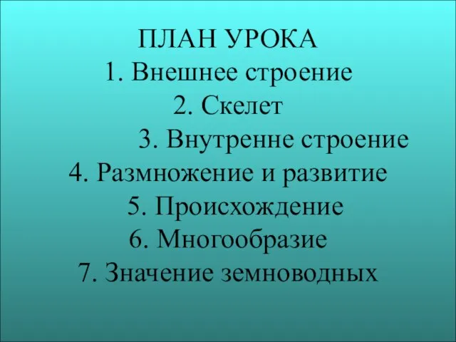 ПЛАН УРОКА 1. Внешнее строение 2. Скелет 3. Внутренне строение 4. Размножение