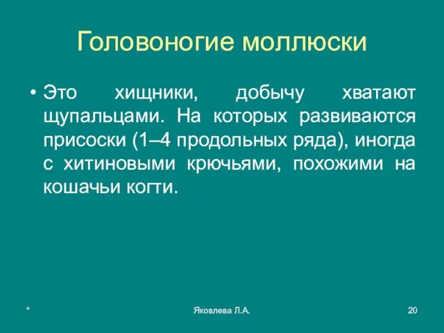 * Яковлева Л.А. Головоногие моллюски Это хищники, добычу хватают щупальцами. На которых