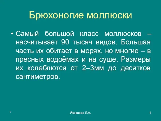 * Яковлева Л.А. Брюхоногие моллюски Самый большой класс моллюсков – насчитывает 90