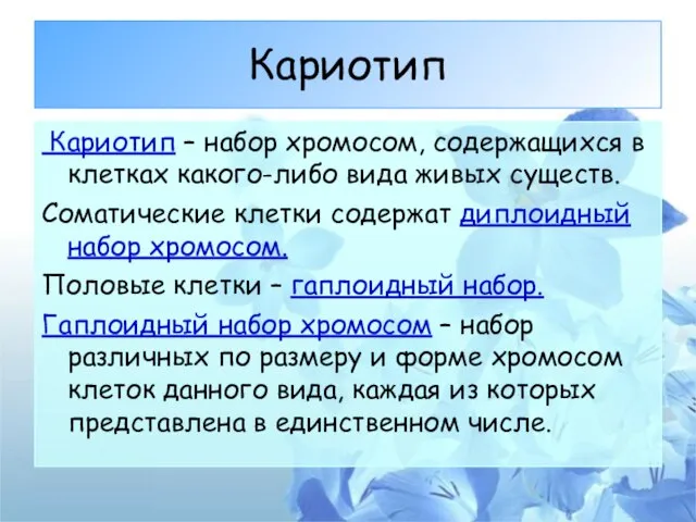 Кариотип Кариотип – набор хромосом, содержащихся в клетках какого-либо вида живых существ.