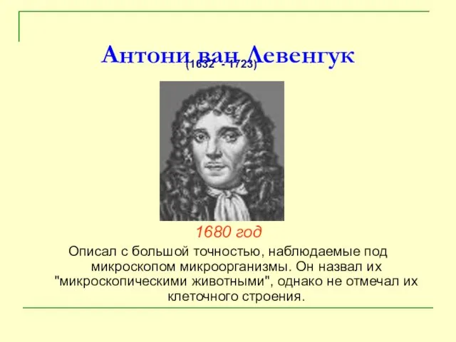 Антони ван Левенгук 1680 год Описал с большой точностью, наблюдаемые под микроскопом