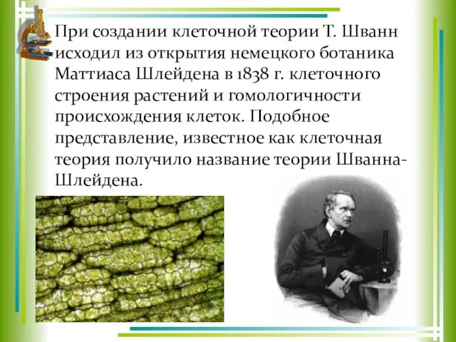 При создании клеточной теории Т. Шванн исходил из открытия немецкого ботаника Маттиаса