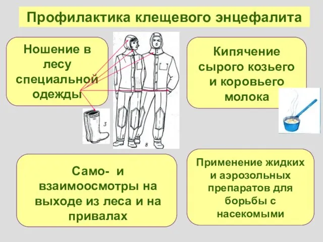 Профилактика клещевого энцефалита Ношение в лесу специальной одежды Само- и взаимоосмотры на