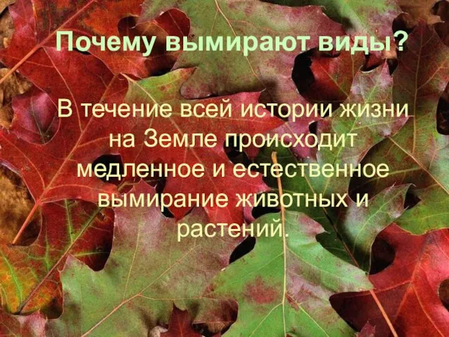 Почему вымирают виды? В течение всей истории жизни на Земле происходит медленное