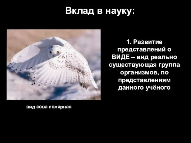 Вклад в науку: 1. Развитие представлений о ВИДЕ – вид реально существующая