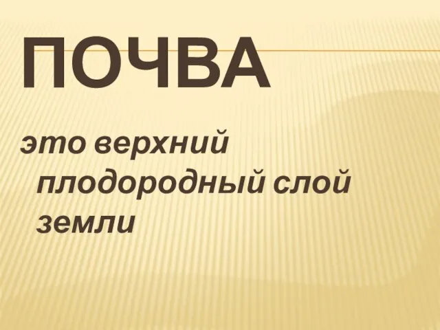 почва это верхний плодородный слой земли