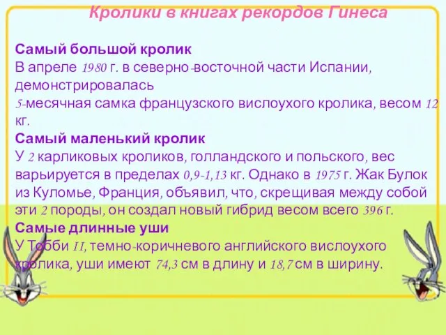 Кролики в книгах рекордов Гинеса Самый большой кролик В апреле 1980 г.