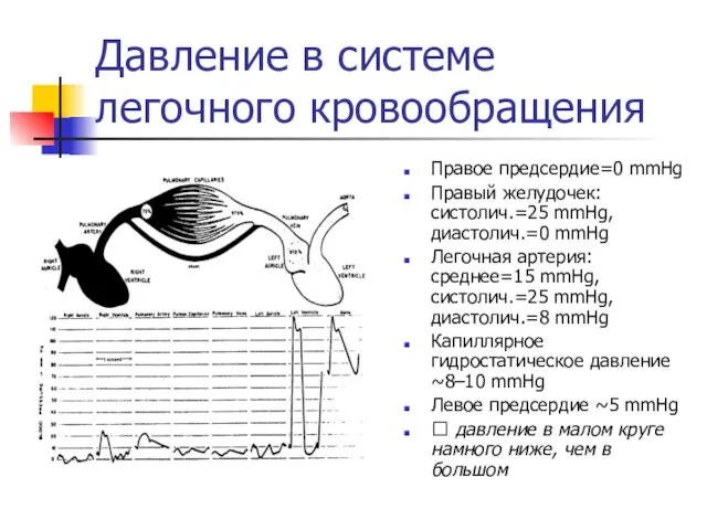 Давление в системе легочного кровообращения Правое предсердие=0 mmHg Правый желудочек: систолич.=25 mmHg,