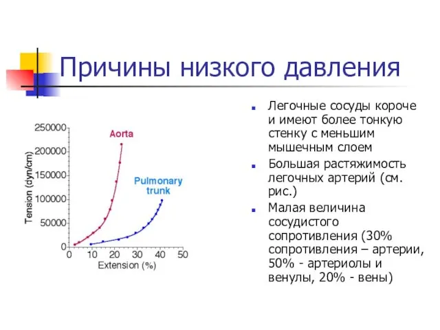 Причины низкого давления Легочные сосуды короче и имеют более тонкую стенку с