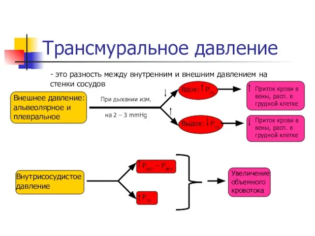 Трансмуральное давление - это разность между внутренним и внешним давлением на стенки