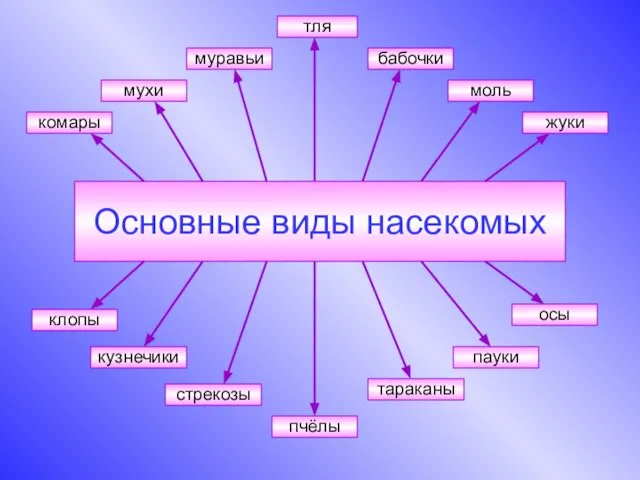 Основные виды насекомых бабочки клопы жуки комары кузнечики моль мухи муравьи осы