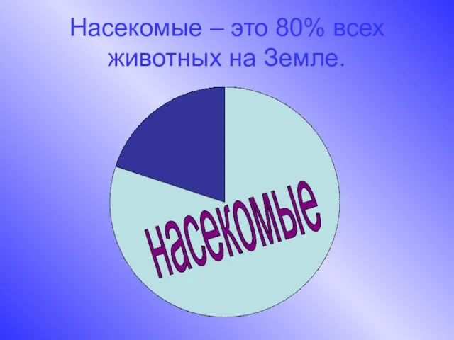 Насекомые – это 80% всех животных на Земле. насекомые