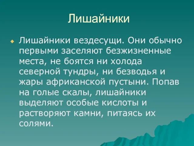 Лишайники Лишайники вездесущи. Они обычно первыми заселяют безжизненные места, не боятся ни