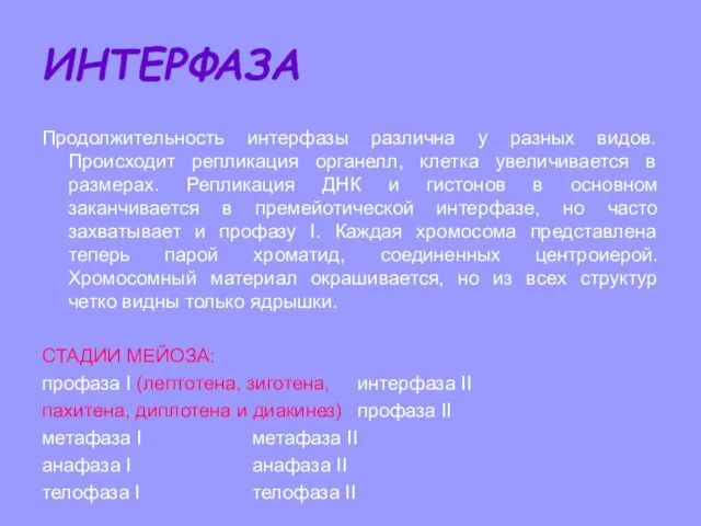 ИНТЕРФАЗА Продолжительность интерфазы различна у разных видов. Происходит репликация органелл, клетка увеличивается