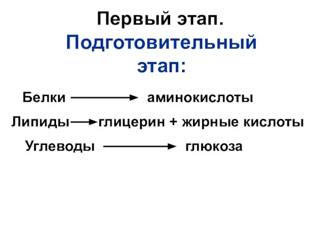 Первый этап. Подготовительный этап: Белки аминокислоты Липиды глицерин + жирные кислоты Углеводы глюкоза